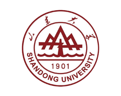 山东大学 (Shandong University) - 985工程/双一流重点高校，多校区跨地域管理典范